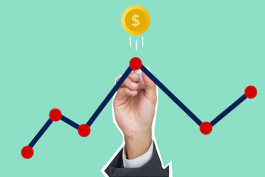 在京東平臺開自營網店流程及費用