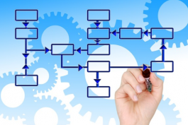 拼多多平臺新手開店的選品思路