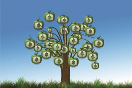 電商會計工作技巧(電商財務管理)