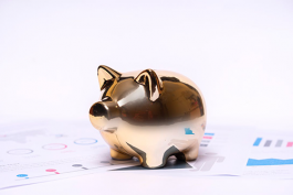 客服系統(tǒng)開發(fā)節(jié)約成本的關(guān)鍵方法和優(yōu)勢