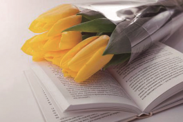 網(wǎng)店客服必備的基本專業(yè)技能