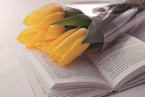 網店客服必備的基本專業技能