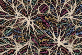 成為專業(yè)外包客服人員一定要掌握的技能