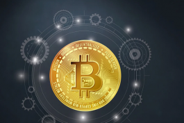 為什么京東店鋪售前客服要外包給專業的服務公司?