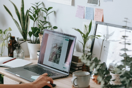 售前客服團隊外包多少錢