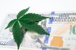 抖音小店怎么選品?如何挖掘潛力爆款商品?