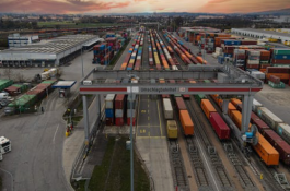 新手網店快遞合作攻略要點有哪些？